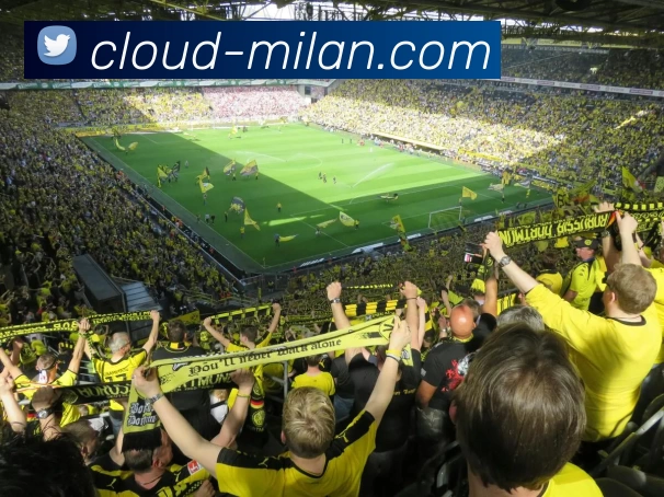 多媒体互动体验